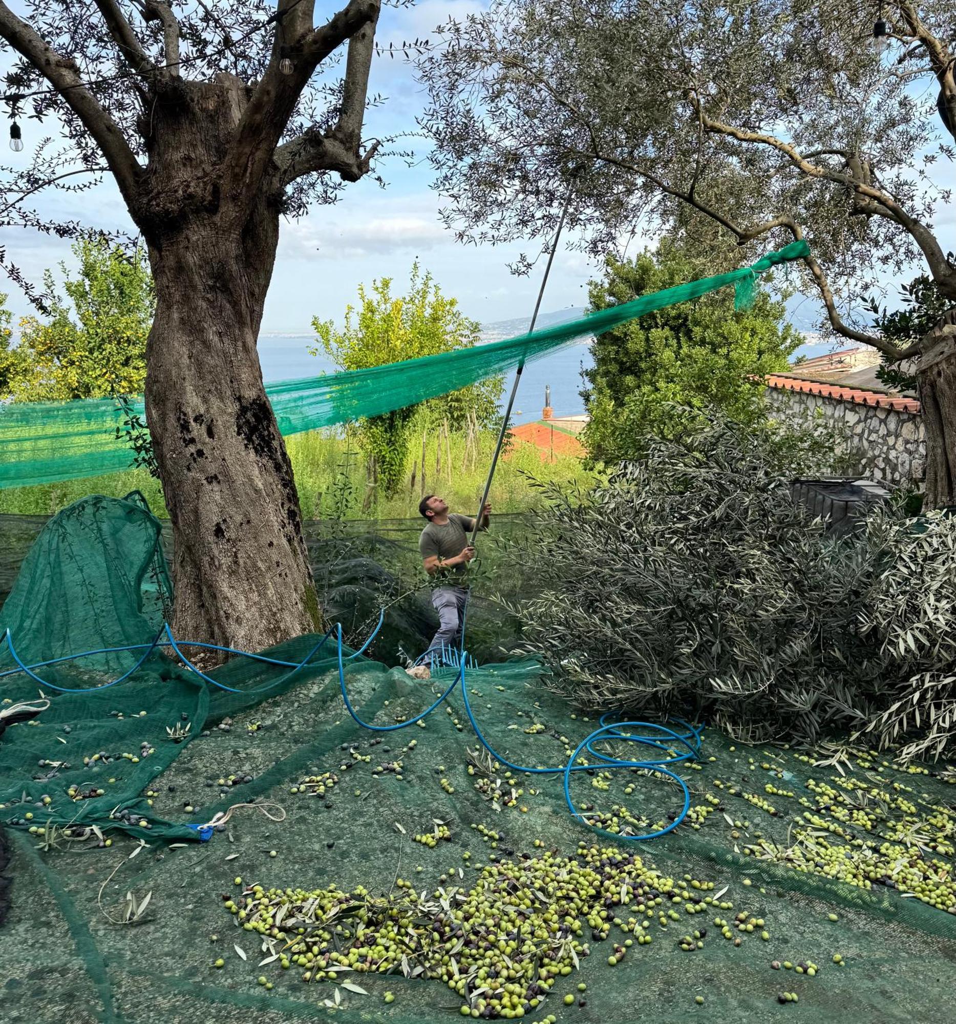 Antica Tenuta Celotto 维克艾库塞 外观 照片